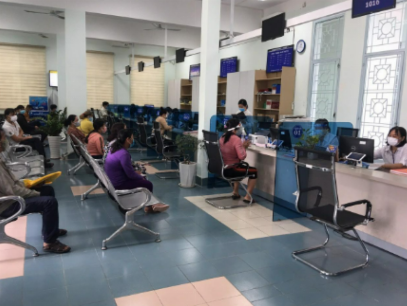 cay bac ha xanh muot trong chau dat san sang de thu hoach su dung